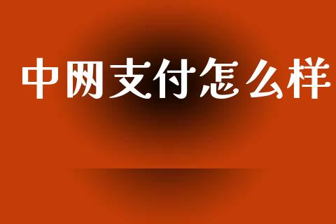 中网支付怎么样_https://cj007.lansai.wang_期货开户_第1张