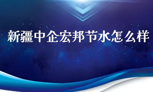 新疆中企宏邦节水怎么样_https://cj007.lansai.wang_金融监管_第1张