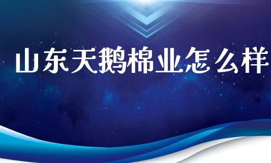 山东天鹅棉业怎么样_https://cj007.lansai.wang_金融监管_第1张