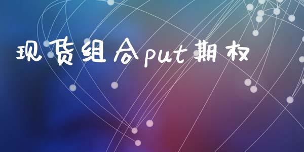 现货组合put期权_https://cj007.lansai.wang_金融监管_第1张