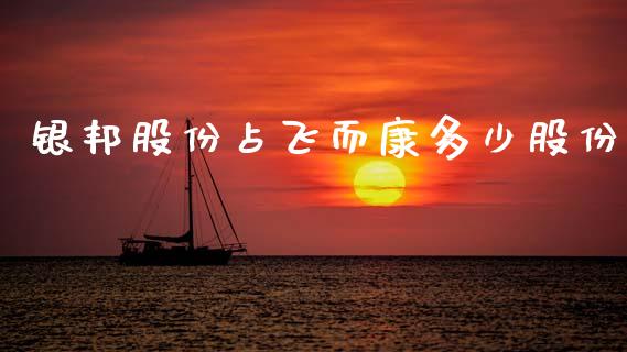 银邦股份占飞而康多少股份_https://cj007.lansai.wang_外汇交易_第1张