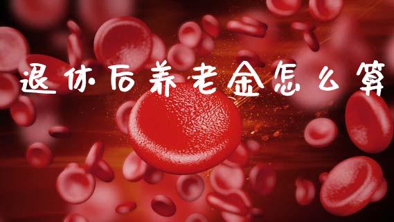 退休后养老金怎么算_https://cj007.lansai.wang_金融监管_第1张