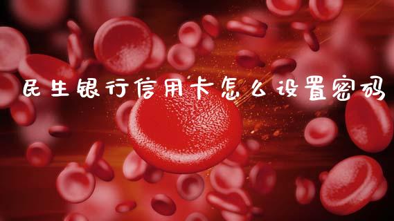 民生银行信用卡怎么设置密码_https://cj007.lansai.wang_外汇交易_第1张
