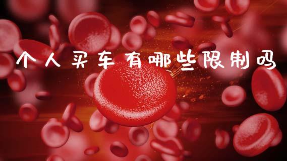 个人买车有哪些限制吗_https://cj007.lansai.wang_全球市场_第1张