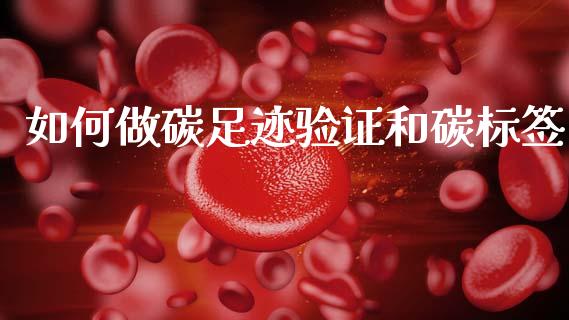 如何做碳足迹验证和碳标签_https://cj007.lansai.wang_债券资讯_第1张