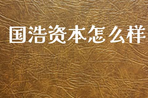 国浩资本怎么样_https://cj007.lansai.wang_债券资讯_第1张