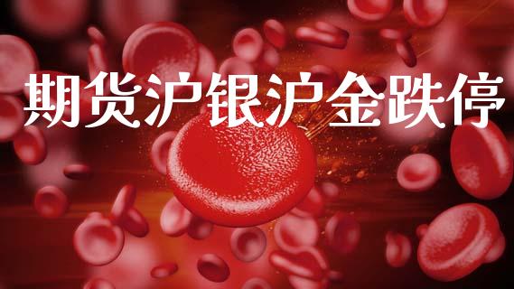 期货沪银沪金跌停_https://cj007.lansai.wang_债券资讯_第1张