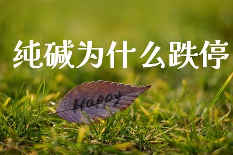 纯碱为什么跌停_https://cj007.lansai.wang_债券资讯_第1张