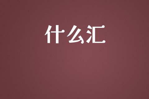 什么汇_https://cj007.lansai.wang_外汇交易_第1张