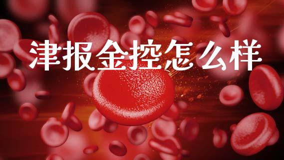 津报金控怎么样_https://cj007.lansai.wang_期货开户_第1张