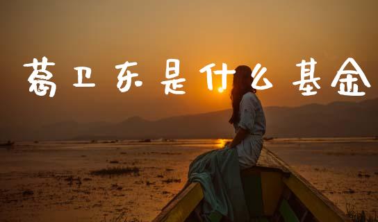 葛卫东是什么基金_https://cj007.lansai.wang_金融监管_第1张
