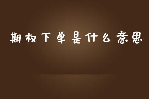 期权下单是什么意思_https://cj007.lansai.wang_财经新闻_第1张