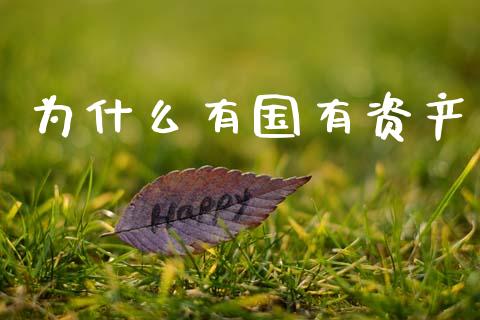为什么有国有资产_https://cj007.lansai.wang_债券资讯_第1张