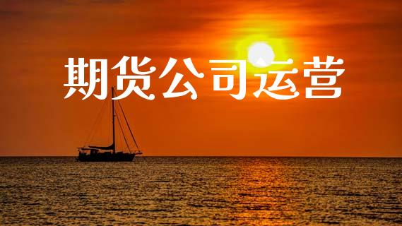 期货公司运营_https://cj007.lansai.wang_金融监管_第1张