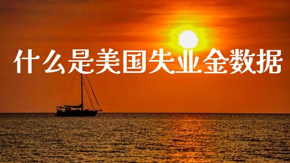 什么是美国失业金数据_https://cj007.lansai.wang_全球市场_第1张