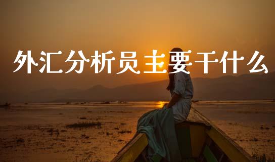 外汇分析员主要干什么_https://cj007.lansai.wang_外汇交易_第1张