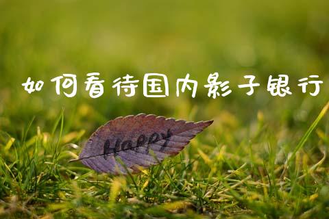 如何看待国内影子银行_https://cj007.lansai.wang_外汇交易_第1张