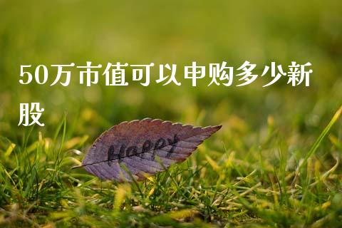 50万市值可以申购多少新股_https://cj007.lansai.wang_全球市场_第1张