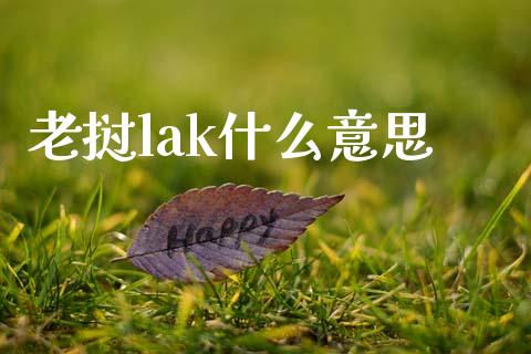 老挝lak什么意思_https://cj007.lansai.wang_财经新闻_第1张
