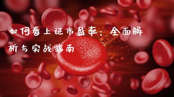 如何看上证市盈率：全面解析与实战指南_https://cj007.lansai.wang_财经新闻_第1张