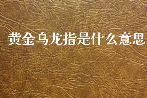 黄金乌龙指是什么意思_https://cj007.lansai.wang_外汇交易_第1张