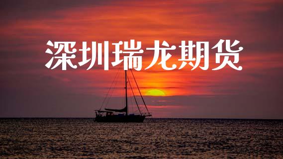 深圳瑞龙期货_https://cj007.lansai.wang_债券资讯_第1张
