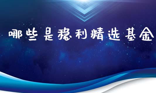 哪些是稳利精选基金_https://cj007.lansai.wang_全球市场_第1张