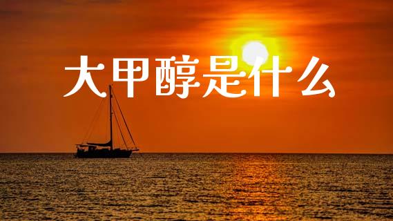 大甲醇是什么_https://cj007.lansai.wang_债券资讯_第1张