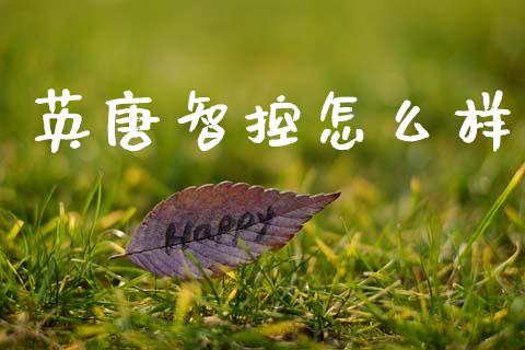 英唐智控怎么样_https://cj007.lansai.wang_财经新闻_第1张
