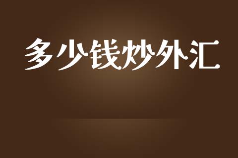多少钱炒外汇_https://cj007.lansai.wang_金融监管_第1张