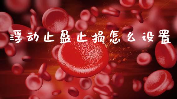 浮动止盈止损怎么设置_https://cj007.lansai.wang_债券资讯_第1张