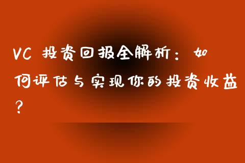 VC 投资回报全解析：如何评估与实现你的投资收益？_https://cj007.lansai.wang_全球市场_第1张