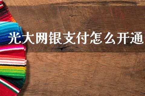 光大网银支付怎么开通_https://cj007.lansai.wang_金融监管_第1张