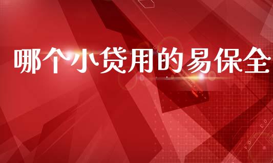 哪个小贷用的易保全_https://cj007.lansai.wang_财经新闻_第1张