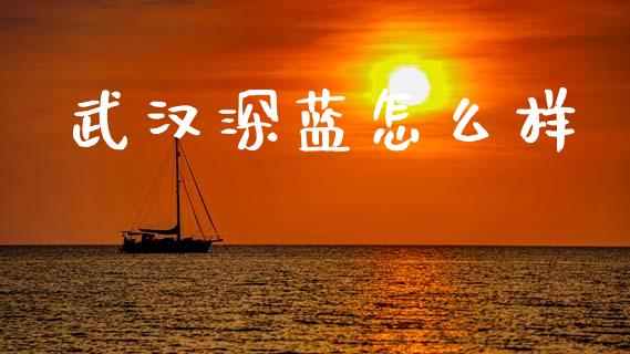 武汉深蓝怎么样_https://cj007.lansai.wang_全球市场_第1张