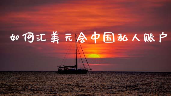 如何汇美元会中国私人账户_https://cj007.lansai.wang_期货开户_第1张