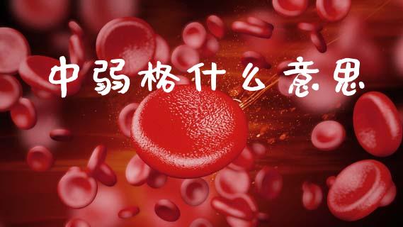中弱格什么意思_https://cj007.lansai.wang_金融监管_第1张