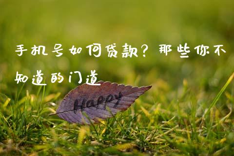 手机号如何贷款？那些你不知道的门道_https://cj007.lansai.wang_期货开户_第1张