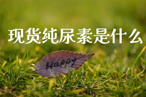 现货纯尿素是什么_https://cj007.lansai.wang_外汇交易_第1张