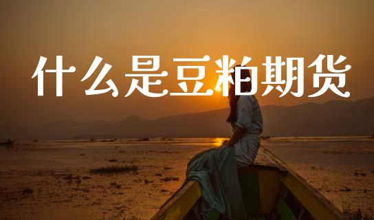 什么是豆粕期货_https://cj007.lansai.wang_外汇交易_第1张