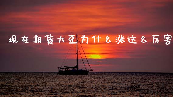 现在期货大豆为什么涨这么厉害_https://cj007.lansai.wang_全球市场_第1张