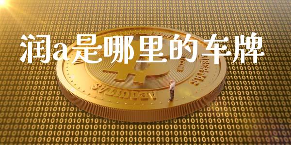 润a是哪里的车牌_https://cj007.lansai.wang_金融监管_第1张