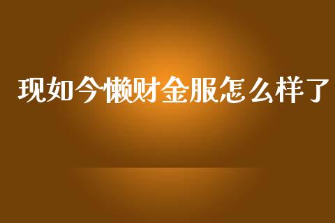 现如今懒财金服怎么样了_https://cj007.lansai.wang_金融监管_第1张