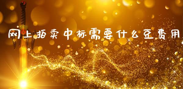 网上拍卖中标需要什么豆费用_https://cj007.lansai.wang_债券资讯_第1张