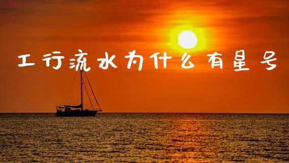 工行流水为什么有星号_https://cj007.lansai.wang_全球市场_第1张