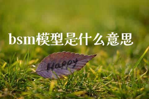 bsm模型是什么意思_https://cj007.lansai.wang_期货开户_第1张