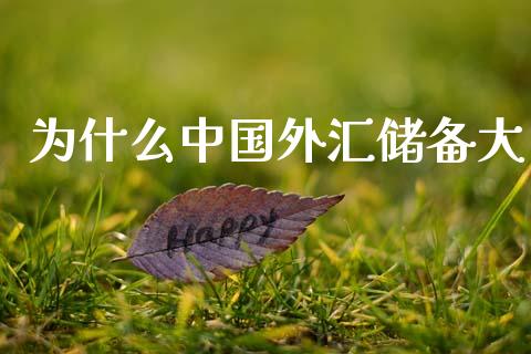 为什么中国外汇储备大_https://cj007.lansai.wang_外汇交易_第1张