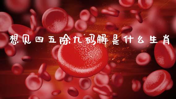 想见四五除九码解是什么生肖_https://cj007.lansai.wang_金融监管_第1张