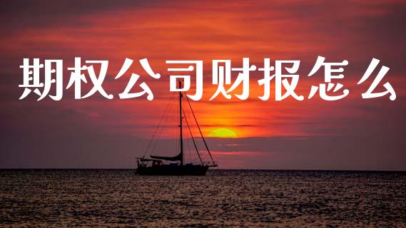 期权公司财报怎么_https://cj007.lansai.wang_全球市场_第1张