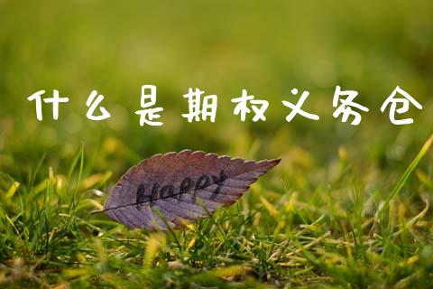 什么是期权义务仓_https://cj007.lansai.wang_外汇交易_第1张
